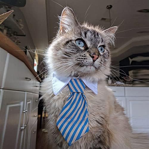 Вратовръзка за домашни любимци, Куче, Котка, Официален папийонка, черен и Червен Нашийник, Аксесоари за домашни