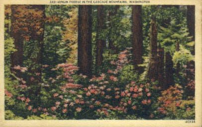 Каскадните планини, пощенска Картичка от Вашингтон