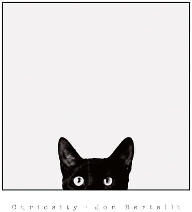 Плакат Curiosity by Jon Bertelli Black Cat Fine Art Print, Общият размер: 18x20, Размер на изображението: 15x15