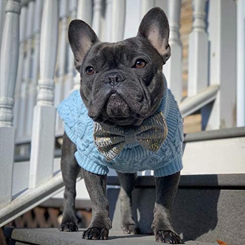 Парижки домашен любимец - Пуловер с висока воротом за кучета - Син Вязаный Пуловер – Топло облекло За кутрета