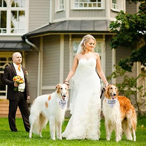 Кърпа за годеж с кучето RISF, Моите Хора се женят, Тя каза Да, Нашийник-кърпа за кучета, Здрава Кърпа за Годеж